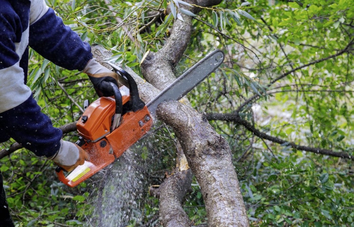 Storm cleanup and debris removal services in Davis, CA