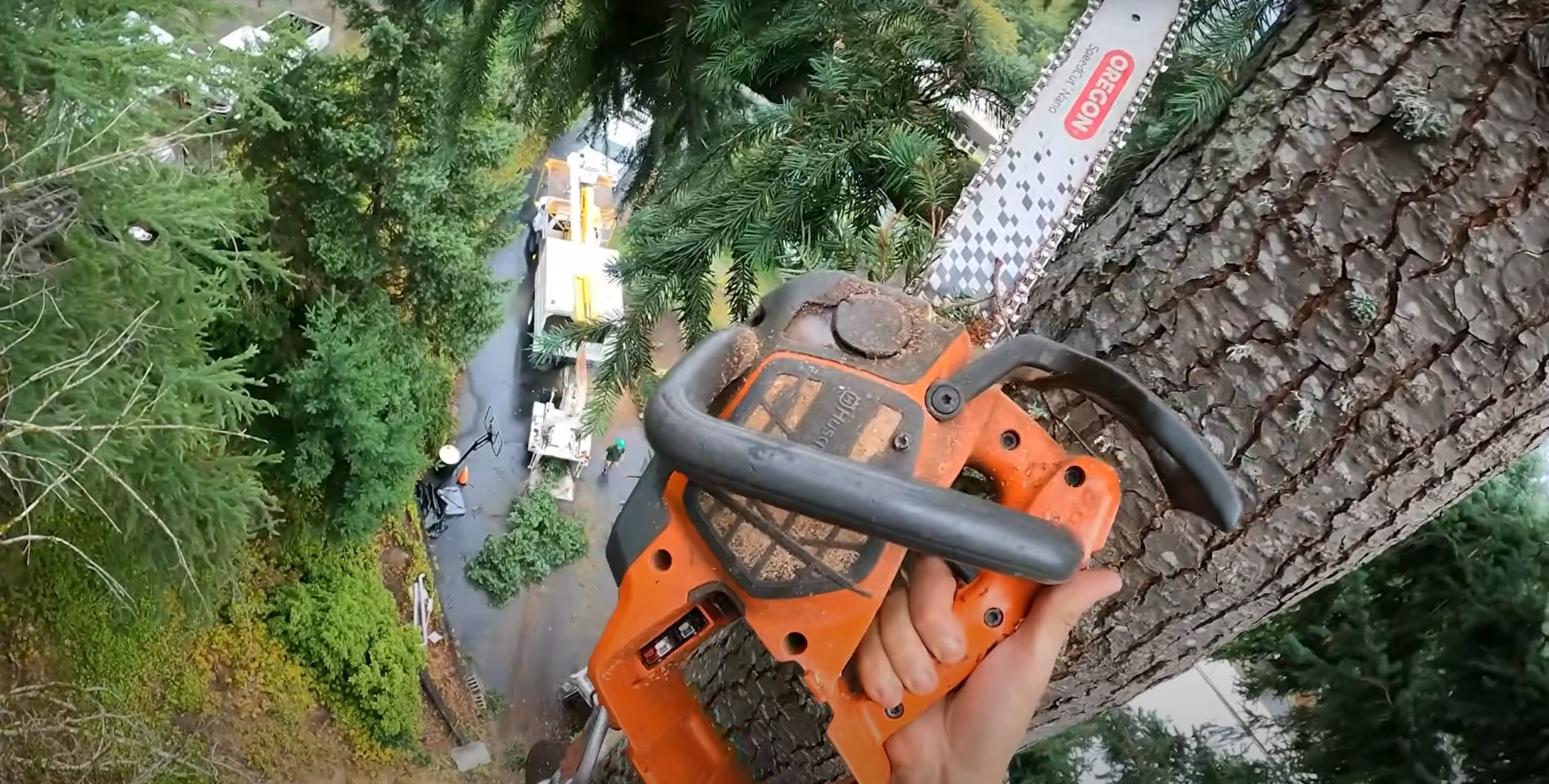 Certified arborist using professional chainsaw equipment for tree service in Davis, CA