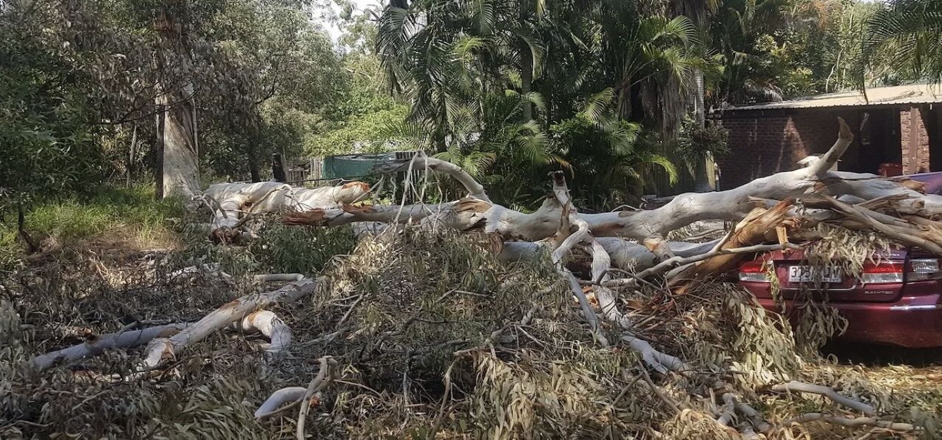 Land and lot clearing services in Davis, CA